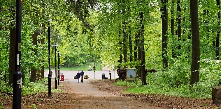 Meditativer Spaziergang im Bürgerpark 