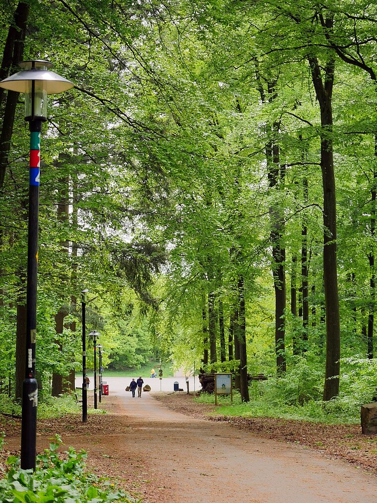 Meditativer Spaziergang im Bürgerpark 